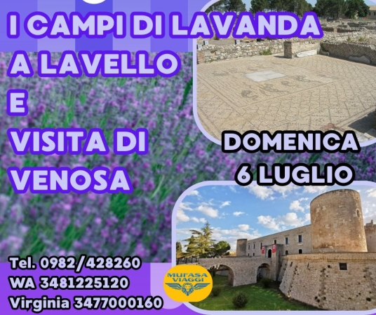 I CAMPI DI LAVANDA A LAVELLO E VISITA DI VENOSA VIAGGI DI GRUPPO IN BUS
