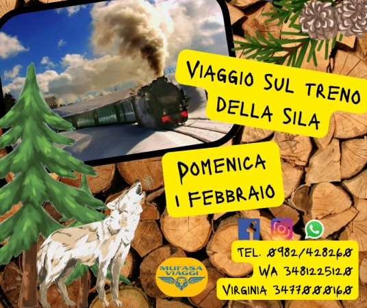 VIAGGIO SUL TRENO DELLA SILA VIAGGI DI GRUPPO IN BUS
